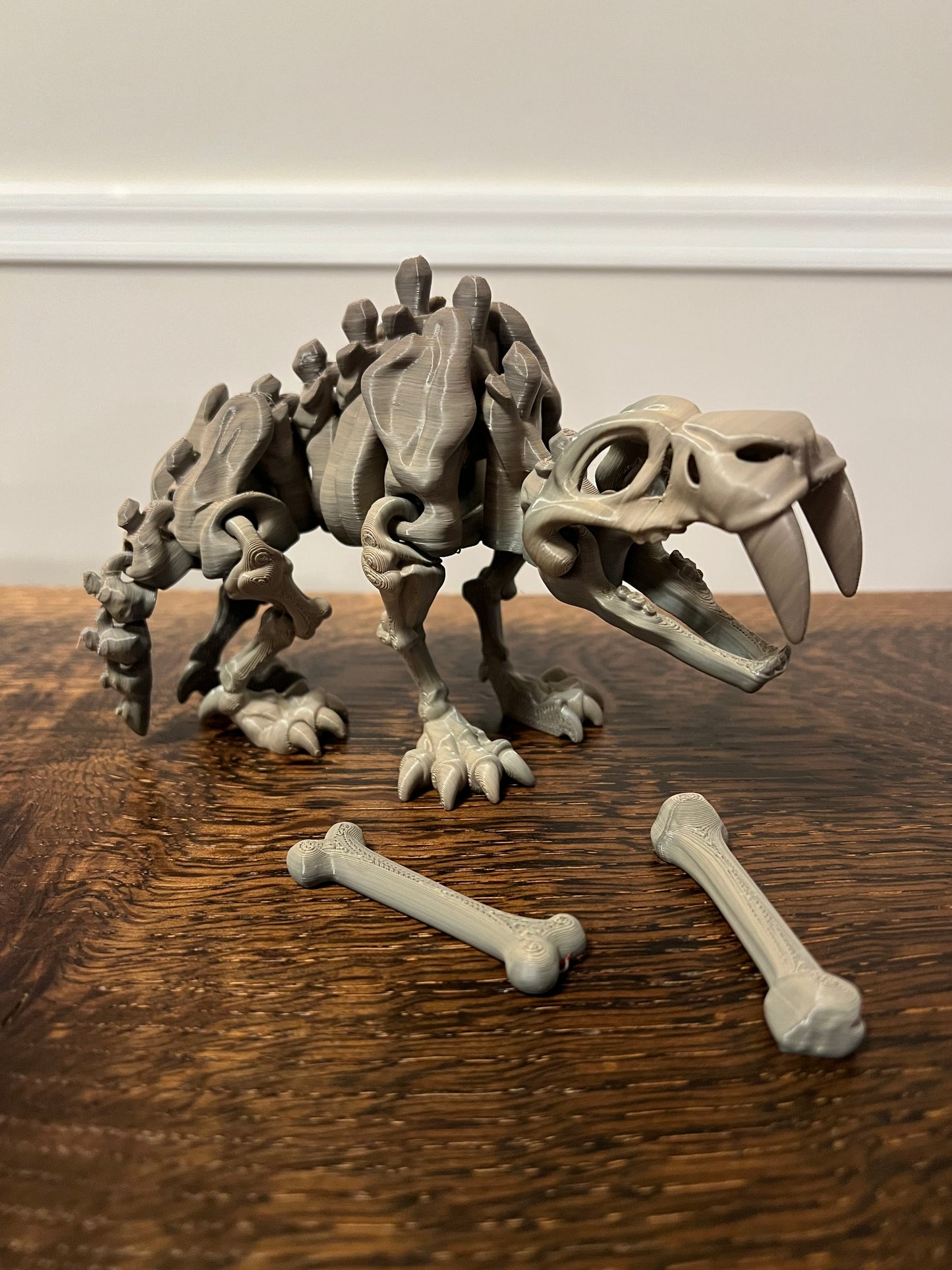 Dinosaur Skeleton