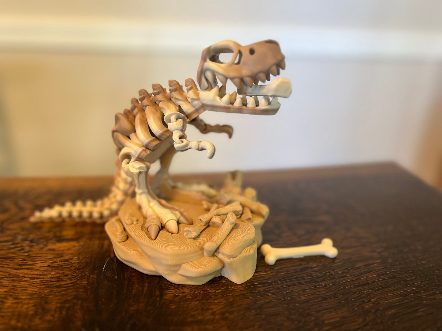 Dinosaur Skeleton