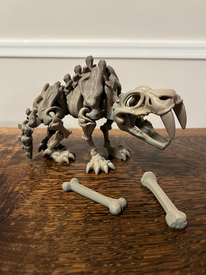 Dinosaur Skeleton