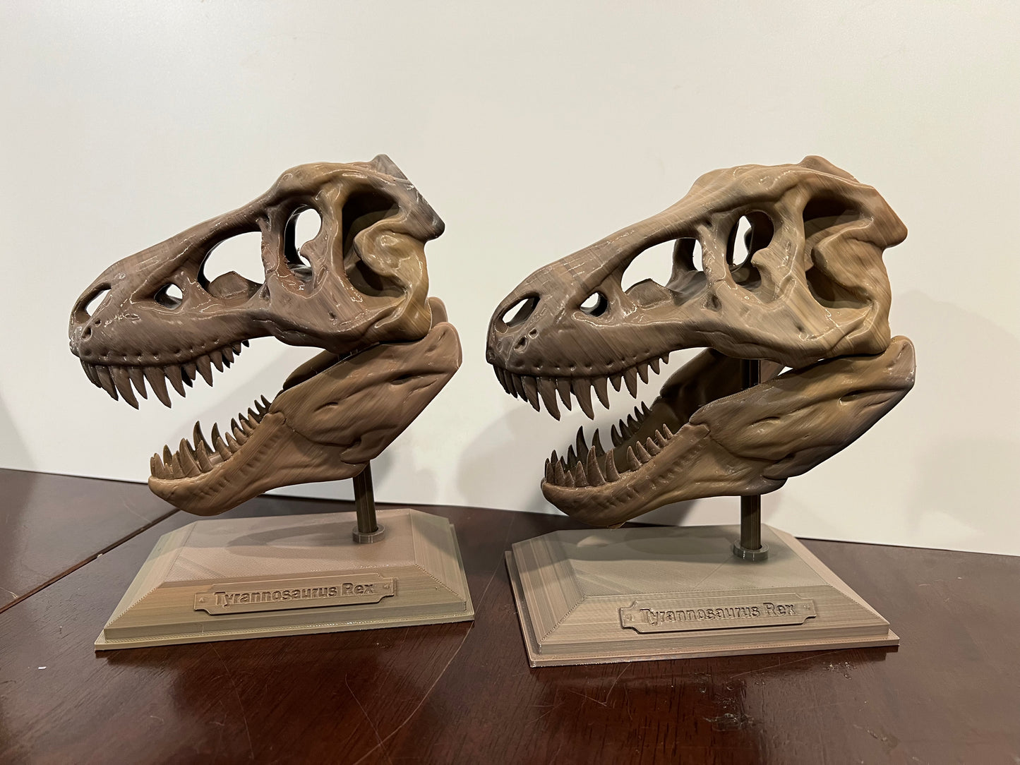 Dinosaur Skeleton