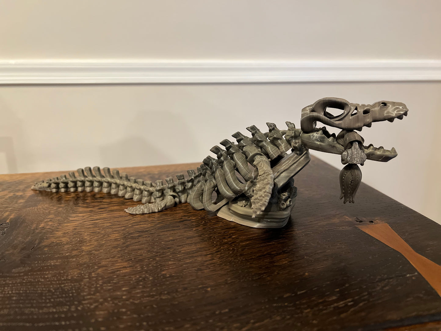 Dinosaur Skeleton
