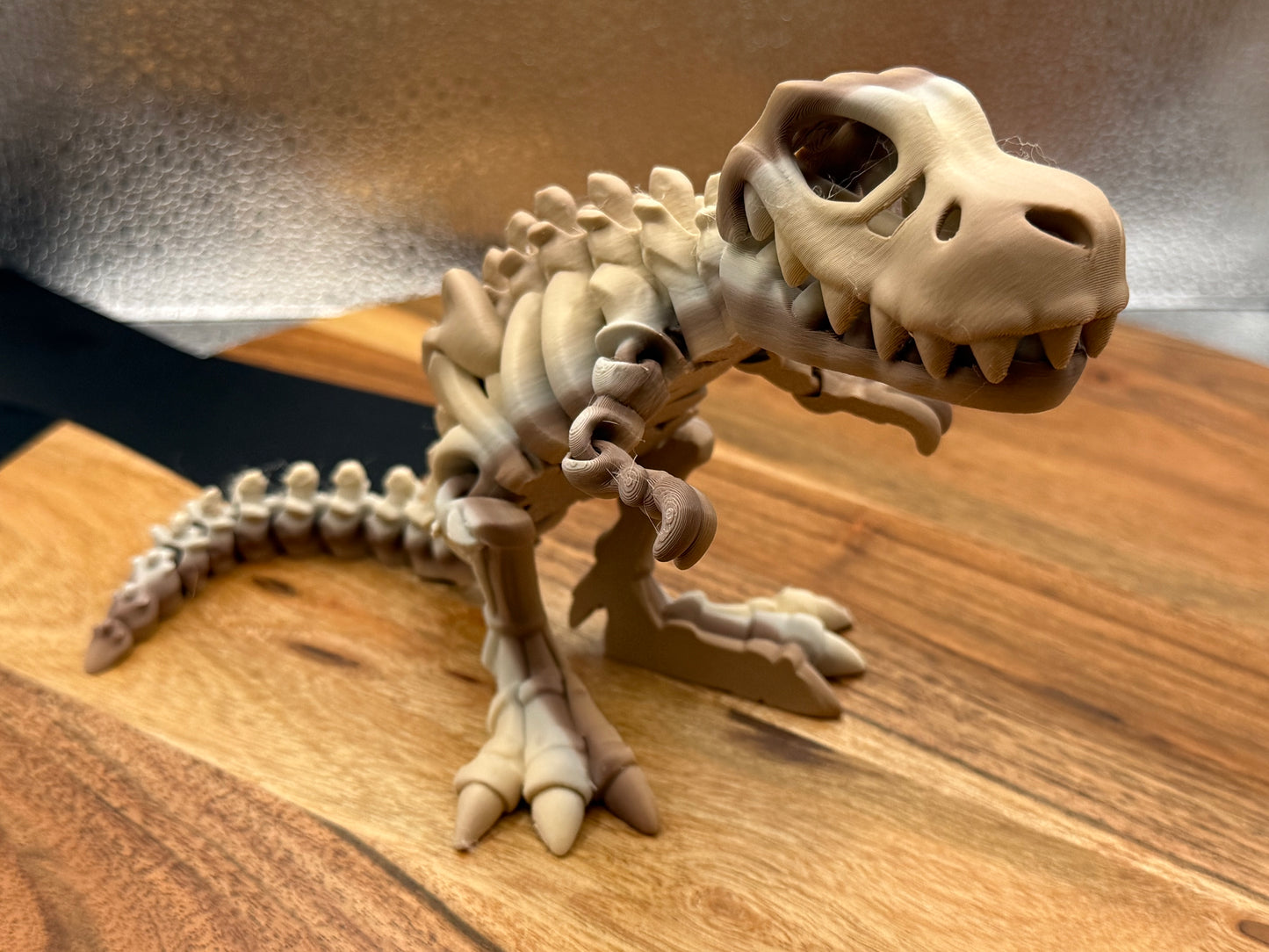 Dinosaur Skeleton